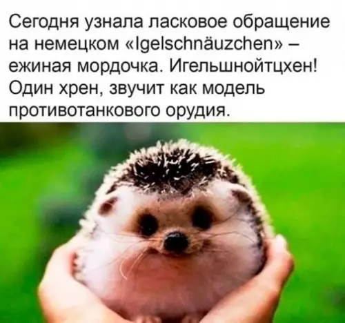 Смешная картинка №646159