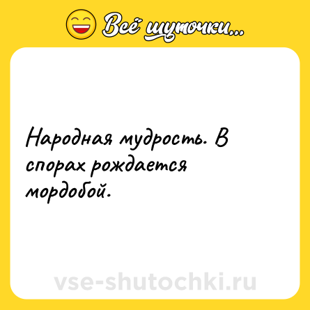 Шутка: Народная мудрость. В спорах рождается мордобой.