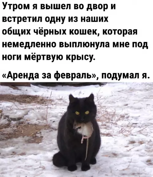 Смешная картинка №675605