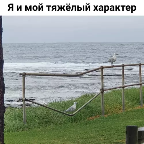 Смешная картинка №623842
