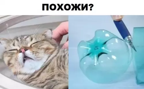 Смешная картинка №295966