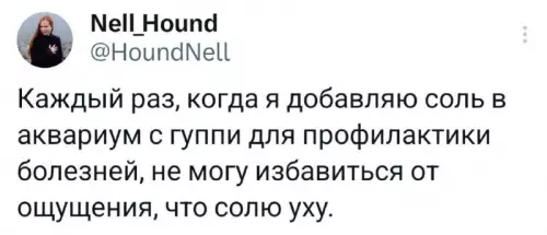 Смешная картинка №773208