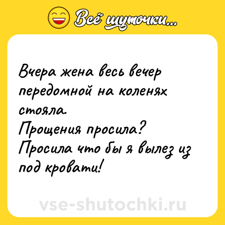 Шутка: Вчера жена весь вечер передомной на коленях стояла.<br>Прощения просила?<br>Просила что бы я вылез из под кровати!