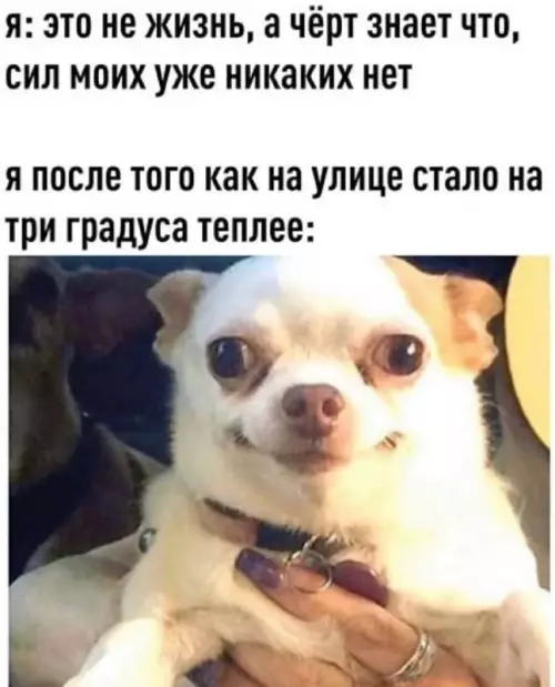 Смешная картинка №758900