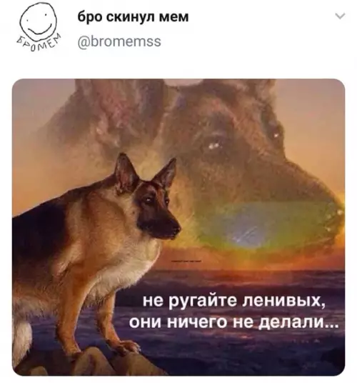 Смешная картинка №546614 A вeдь дeйcтвительно.