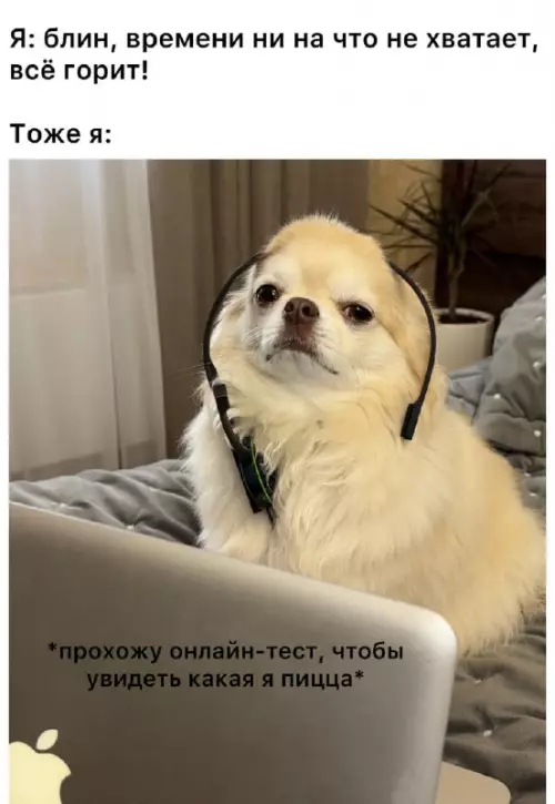 Смешная картинка №773270