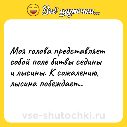 Шутка: Моя голова представляет собой поле битвы седины и лысины. К сожалению, лысина побеждает..