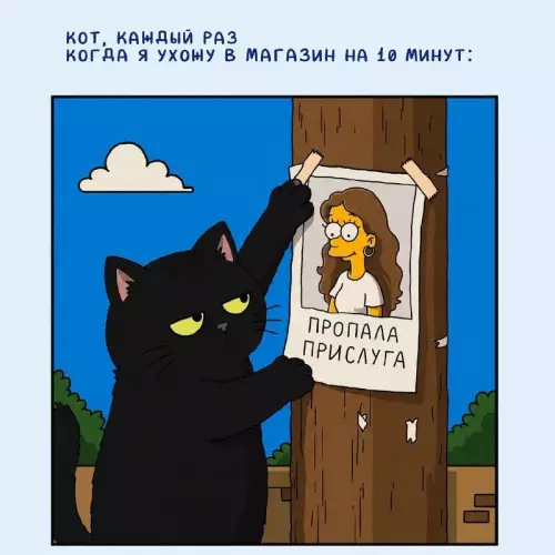 Смешная картинка №821098 Коты