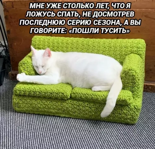 Смешная картинка №749201 Я слишком стар для этого дерьма