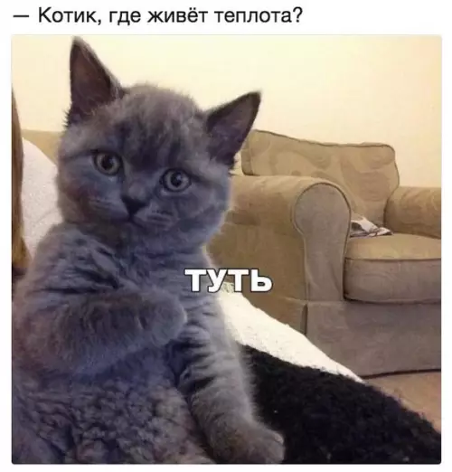 Смешная картинка №211085