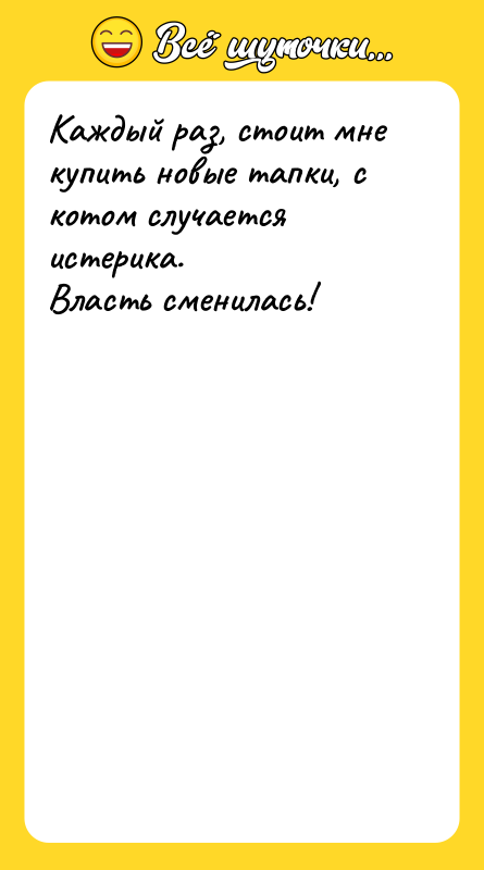 Каждый раз, стоит мне купить новые тапки, с котом случается