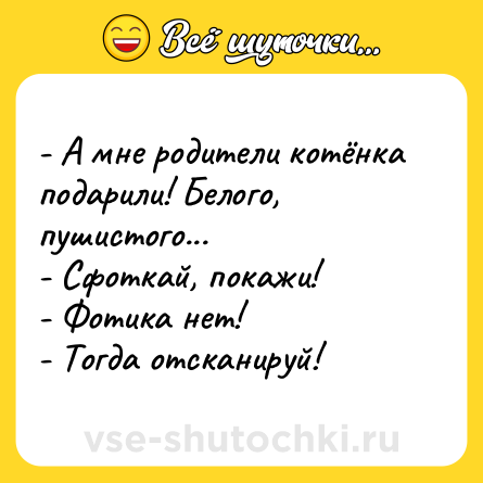 Шутка: - А мне родители котёнка подарили! Белого, пушистого... <br>- Сфоткай, покажи! <br>- Фотика нет! <br>- Тогда отсканируй!