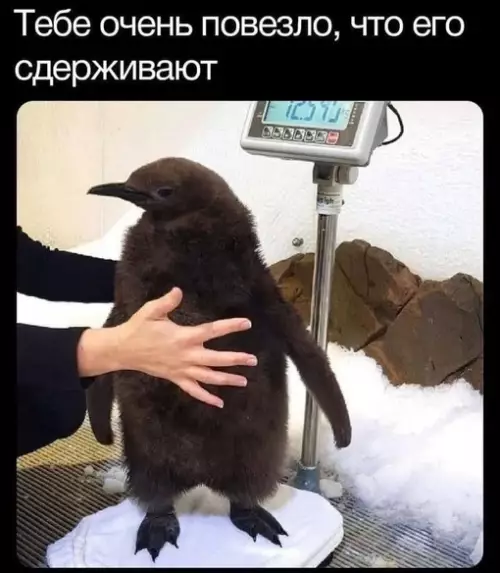 Смешная картинка №678876