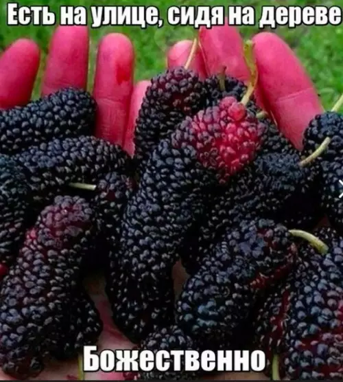 Смешная картинка №187537 Не все поймут