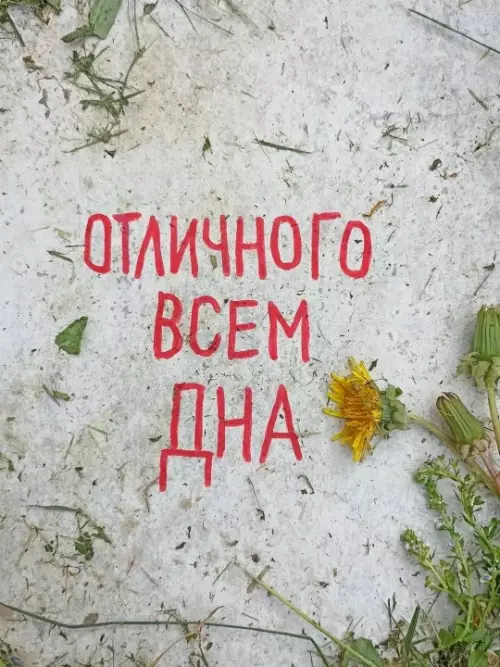 Пожелание, которое ты заслужил 😂 - ОТЛИЧНОГО ВСЕМ ДНА