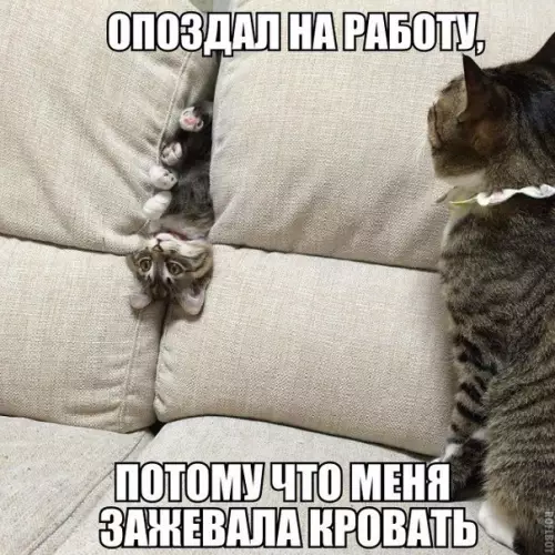 Смешная картинка №265503