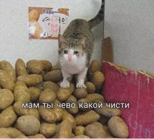 Смешная картинка №713044