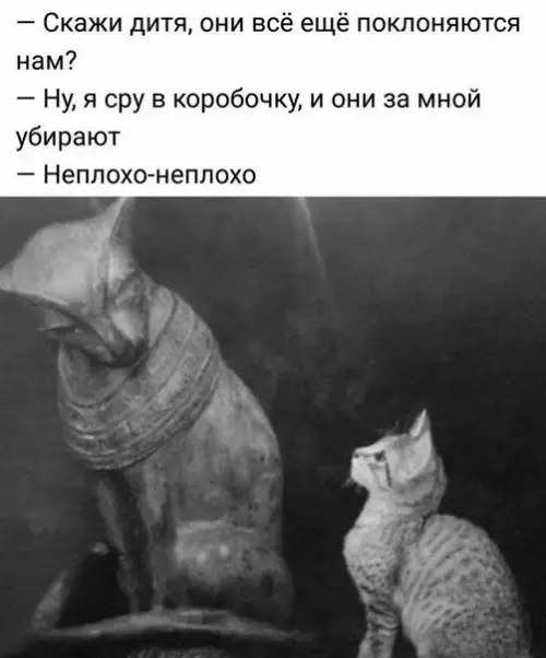 Смешная картинка №508671 Тысячелетнее рабство)
