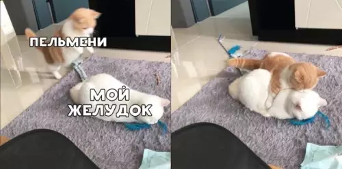 Смешная картинка №453762