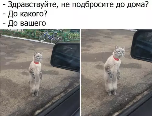 Смешная картинка №188217