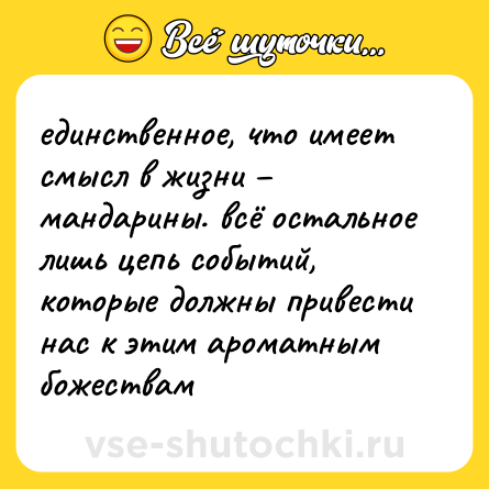 Шутка: единственное, что имеет смысл в жизни – мандарины. всё остальное лишь цепь событий, которые должны привести нас к этим ароматным божествам
