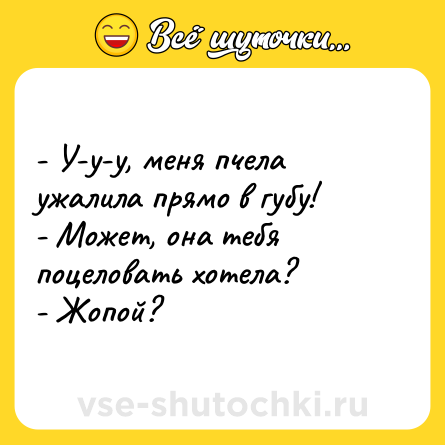 Шутка: - У-у-у, меня пчела ужалила прямо в губу! <br>- Может, она тебя поцеловать хотела? <br>- Жопой?