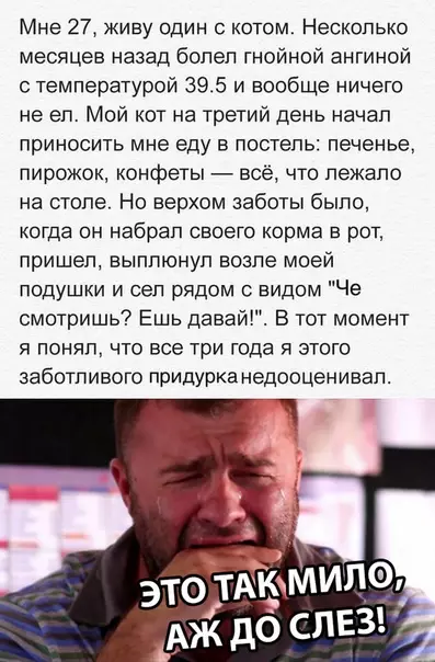 Смешная картинка №310702
