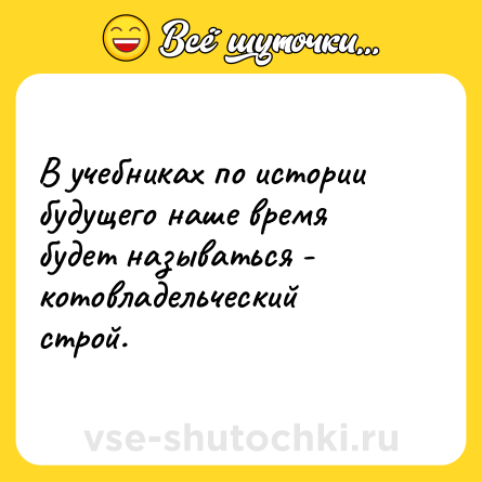 Шутка: В учебниках по истории будущего наше время будет называться - котовладельческий строй.