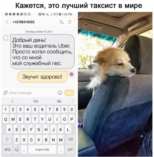Смешная картинка №522555 Для этиx peбят такси - это не просто работа, а призвание Такси
