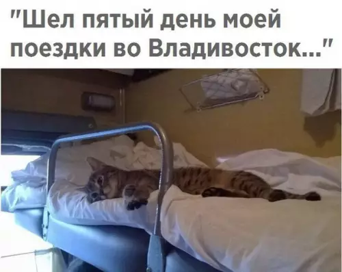Смешная картинка №234309