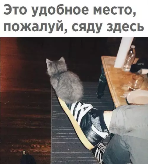 Смешная картинка №226766