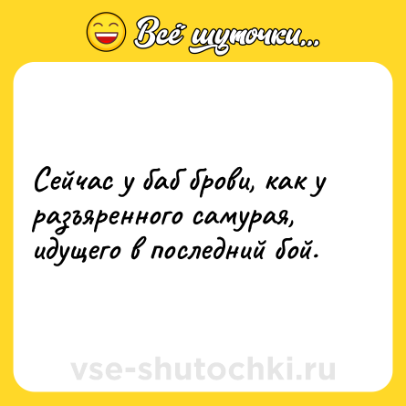 Шутка: Сейчас у баб брови, как у разъяренного самурая, идущего в последний бой.