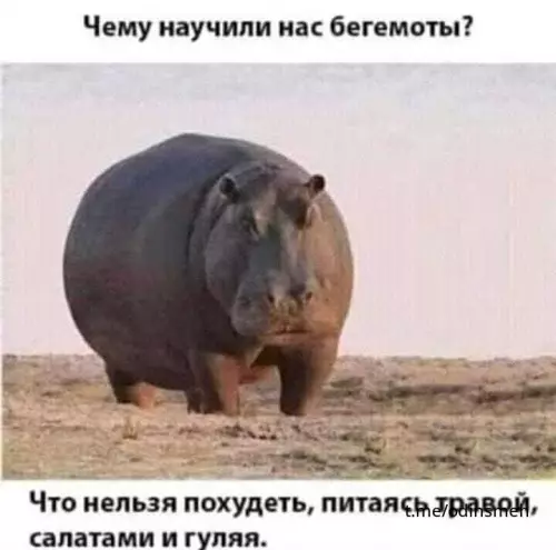 Смешная картинка №676312