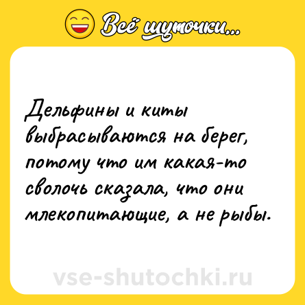 Шутка: Дельфины и киты выбрасываются на берег, потому что им какая-то сволочь сказала, что они млекопитающие, а не рыбы.