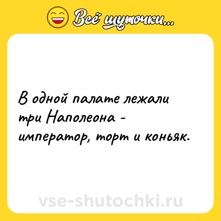 Шутка: В одной палате лежали три Наполеона - император, торт и коньяк.
