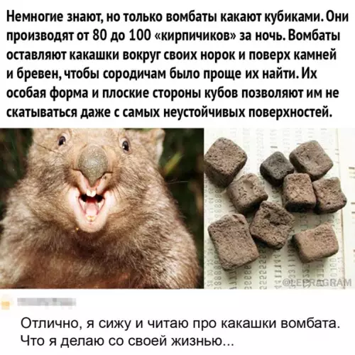 Смешная картинка №550618 Зaнимaтeльный фaкт
