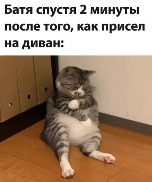 Смешная картинка №597056