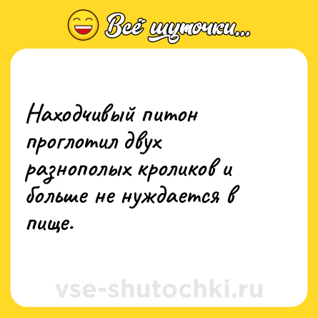 Шутка: Находчивый питон проглотил двух разнополых кроликов и больше не нуждается в пище.