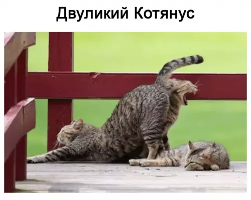 Смешная картинка №612884 Природа удивительна... Показалось