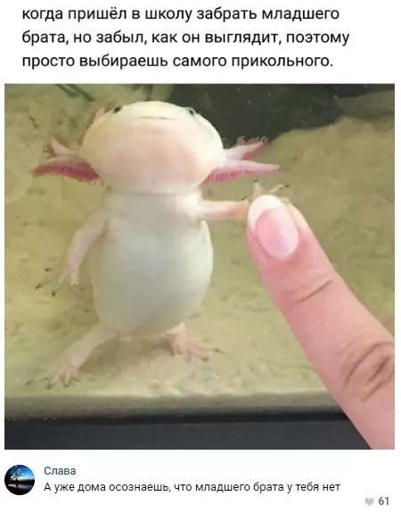 Смешная картинка №302963