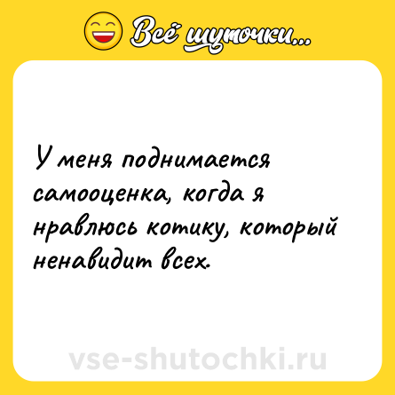 Шутка: У меня поднимается самооценка, когда я нравлюсь котику, который ненавидит всех.