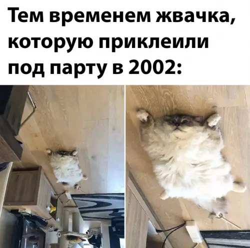 Смешная картинка №659612