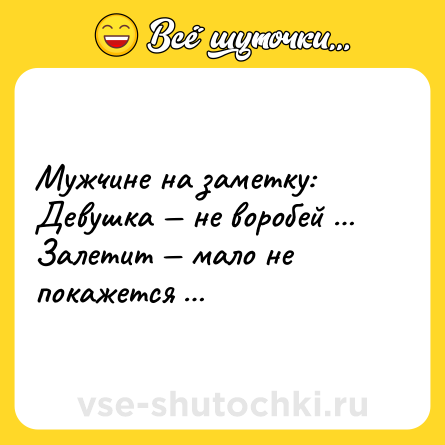 Шутка: Мужчине на заметку: Девушка — не воробей … Залетит — мало не покажется …