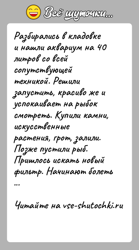 История: Разбирались в кладовке и нашли аквариум на 40 литров со всей сопутствующей техникой. Решили запустить, красиво же и успокаивает на