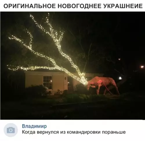 Смешная картинка №320290