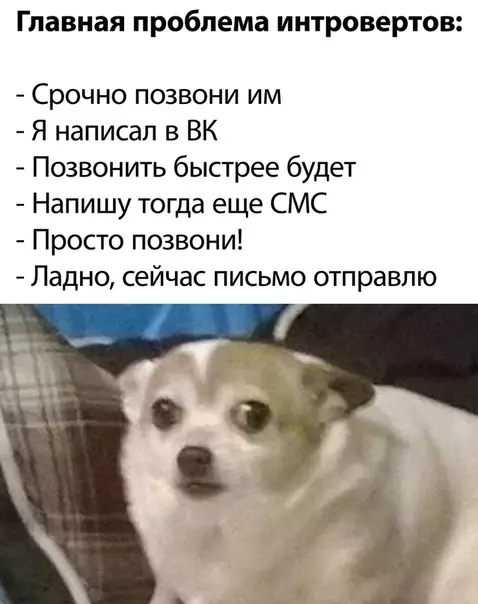 Смешная картинка №505079