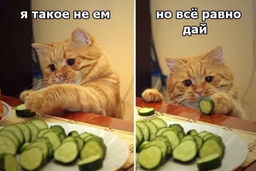 Смешная картинка №218765