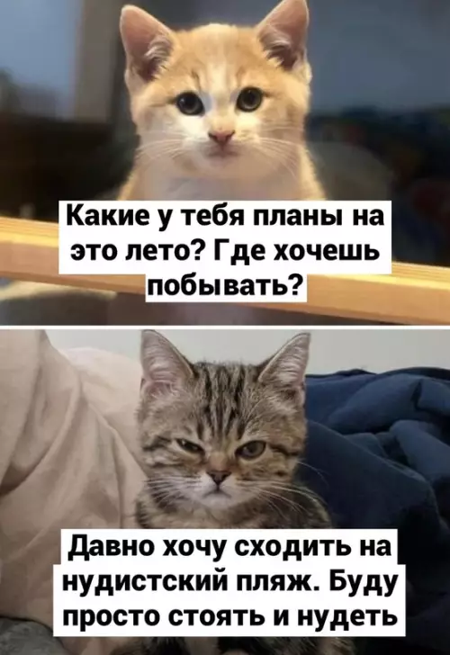 Смешная картинка №685894