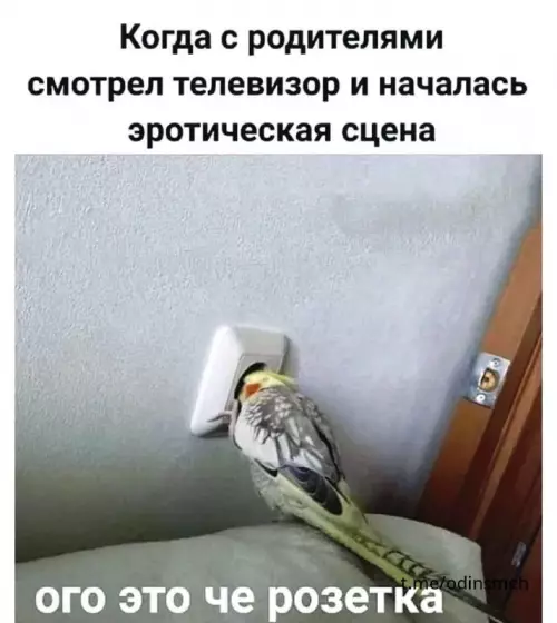 Смешная картинка №666855