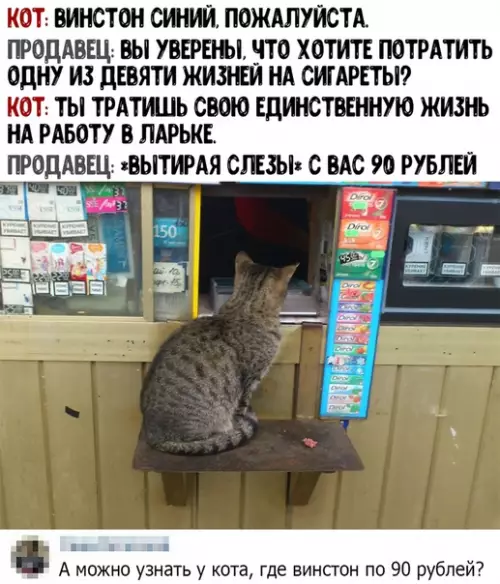 Смешная картинка №452231